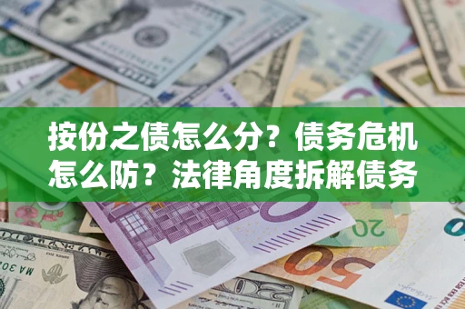 武汉按份之债怎么分？债务危机怎么防？法律角度拆解债务分配与风险自保指南
