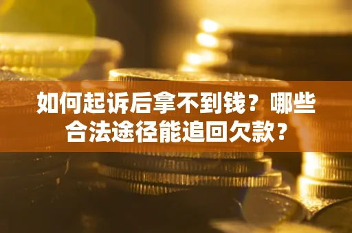 武汉如何起诉后拿不到钱？哪些合法途径能追回欠款？