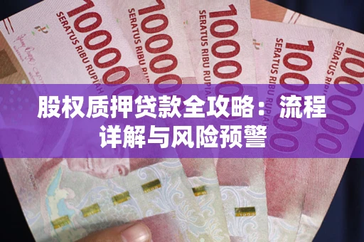 武汉股权质押贷款全攻略：流程详解与风险预警