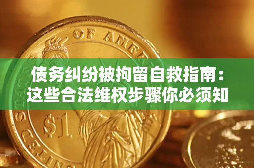 武汉债务纠纷被拘留自救指南：这些合法维权步骤你必须知道！