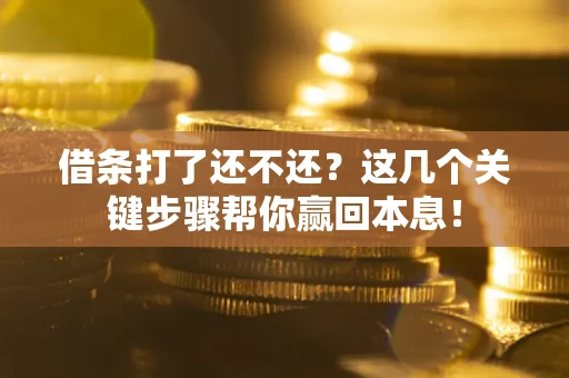 武汉借条打了还不还？这几个关键步骤帮你赢回本息！