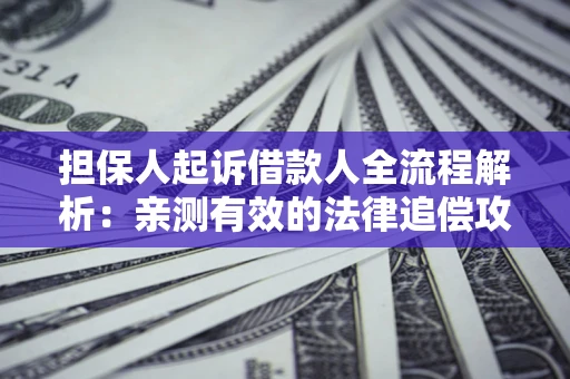 武汉担保人起诉借款人全流程解析：亲测有效的法律追偿攻略