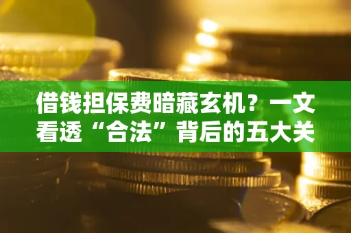 武汉借钱担保费暗藏玄机？一文看透“合法”背后的五大关键陷阱