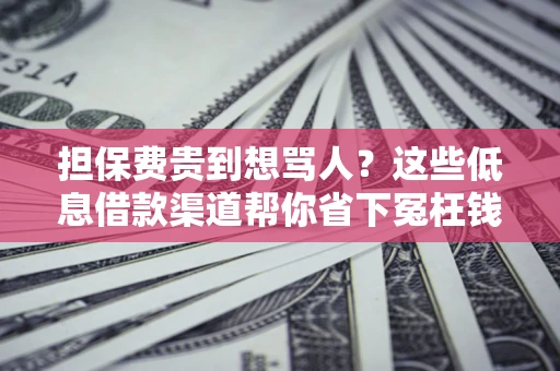 武汉担保费贵到想骂人？这些低息借款渠道帮你省下冤枉钱