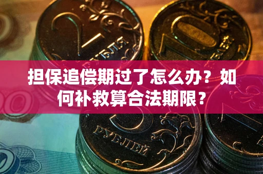 武汉担保追偿期过了怎么办？如何补救算合法期限？