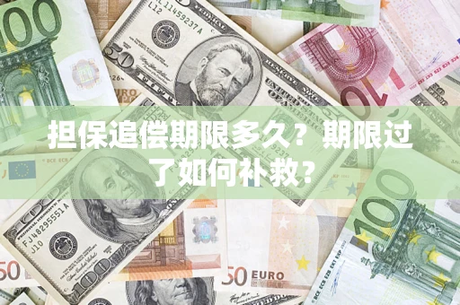 武汉担保追偿期限多久？期限过了如何补救？