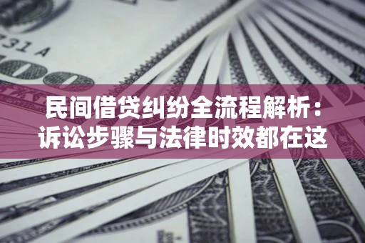 武汉民间借贷纠纷全流程解析：诉讼步骤与法律时效都在这儿了