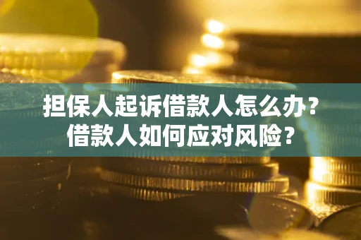 武汉担保人起诉借款人怎么办？借款人如何应对风险？