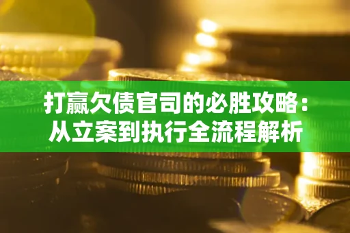 武汉打赢欠债官司的必胜攻略：从立案到执行全流程解析
