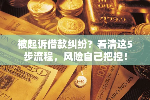武汉被起诉借款纠纷？看清这5步流程，风险自己把控！