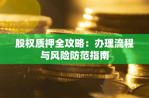 武汉股权质押全攻略：办理流程与风险防范指南
