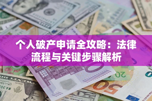 武汉个人破产申请全攻略：法律流程与关键步骤解析