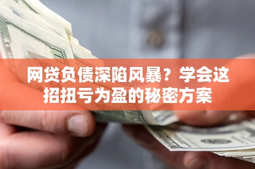 武汉网贷负债深陷风暴？学会这招扭亏为盈的秘密方案