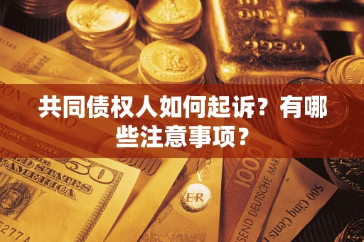 武汉共同债权人如何起诉？有哪些注意事项？